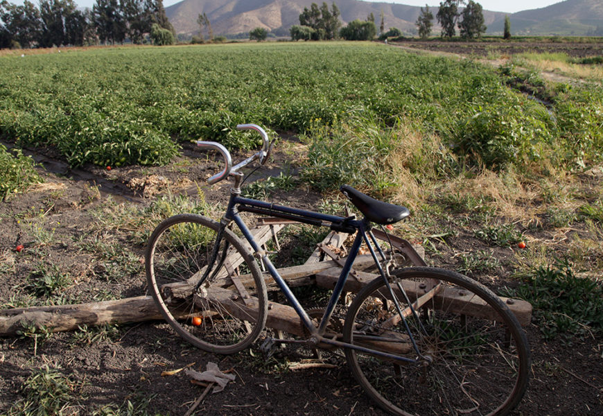 COLUMNA La movilidad cotidiana rural desde los modelos de transporte urbano