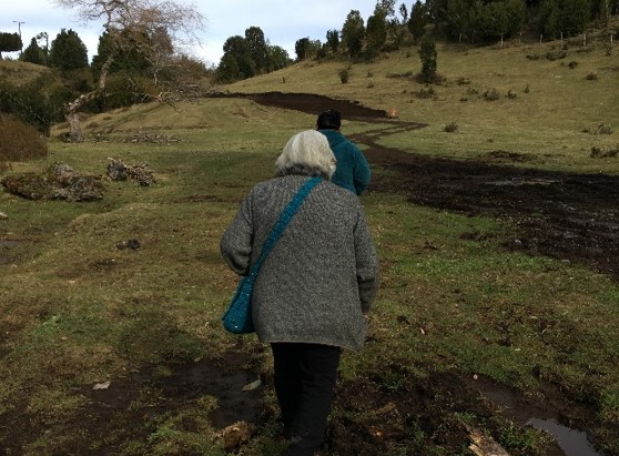 Asociados MOVYT: La movilidad en su ambiente